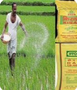 Screenshot_2025-08-23-06-58-27-71_40deb401b9ffe8e1df2f1cc5ba480b12~2