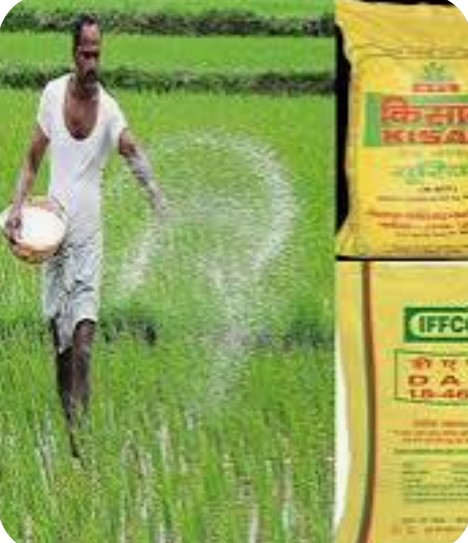 Screenshot_2025-08-23-06-58-27-71_40deb401b9ffe8e1df2f1cc5ba480b12~2