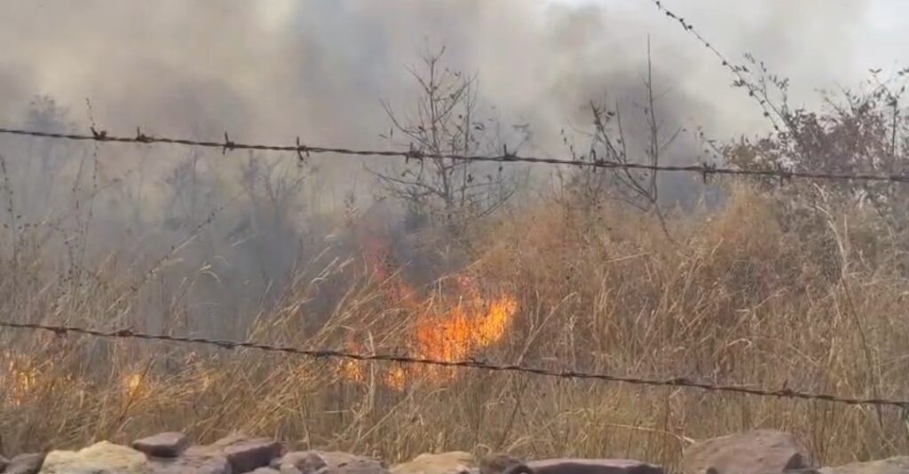 Screenshot_20260227_081535~2