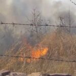 बिलाईगढ़–धनसीर मार्ग स्थित हुर्रा डोंगरी के जंगल में वन विभाग की लापरवाही उजागर भीषण आग से हुआ भारी नुकसान – आपुर बंजारे।