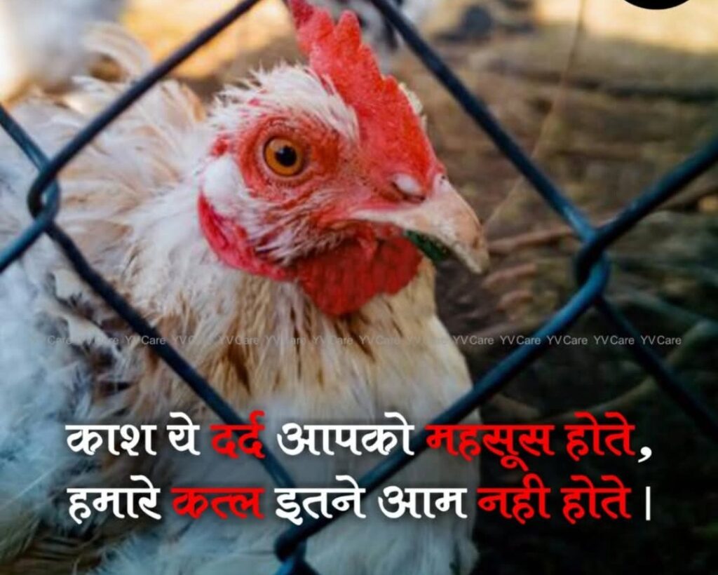 Screenshot_2026-03-10-21-47-48-75_a23b203fd3aafc6dcb84e438dda678b6~2