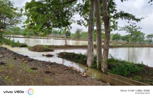 IMG-20260704-WA0012