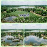 जलकुंभी और जीवन के सिद्धांत: क्या ‘कुछ भी करने की चाह’ ही असली तरक्की है?